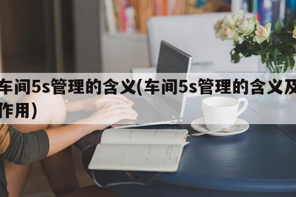 车间5s管理的含义(车间5s管理的含义及作用)